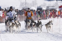 Lenk 2013